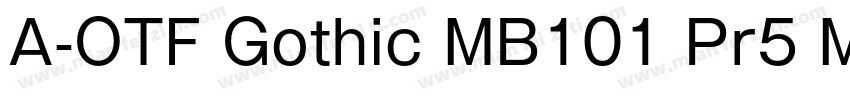A-OTF Gothic MB101 Pr5 M字体转换